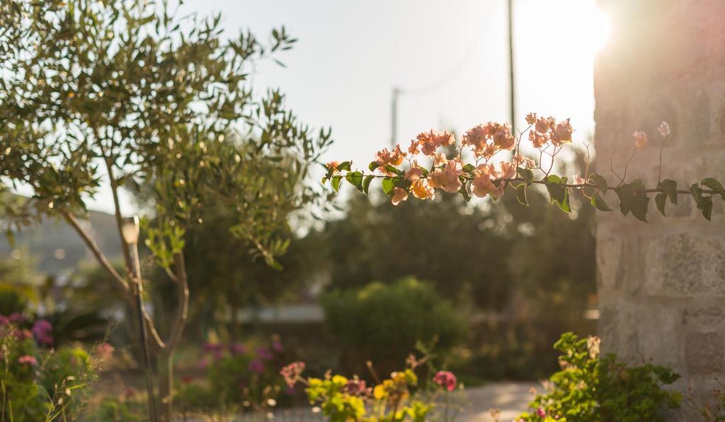 Villa Patmos Netia Skála Eksteriør billede